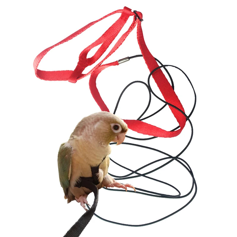 Bird Harness Leash Anti-Bite Training Rope Outdoor Flying Harness Leash