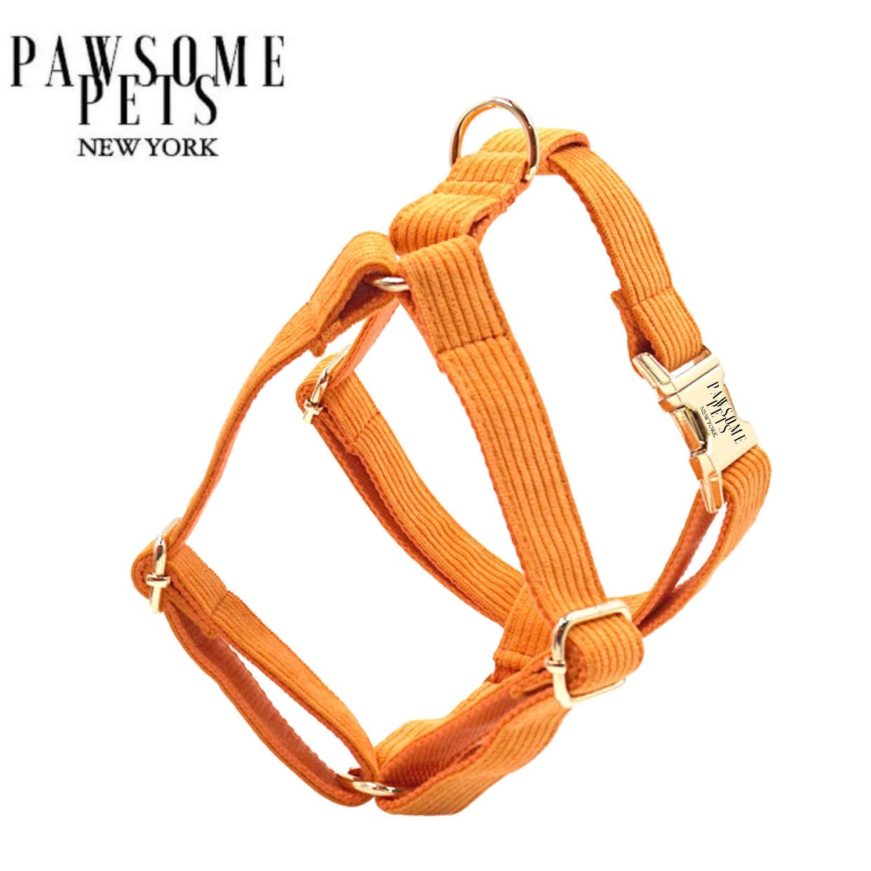 Step in Harness - Orange
