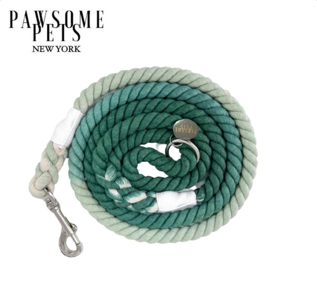 Rope Leash - Ombre Venetian Green