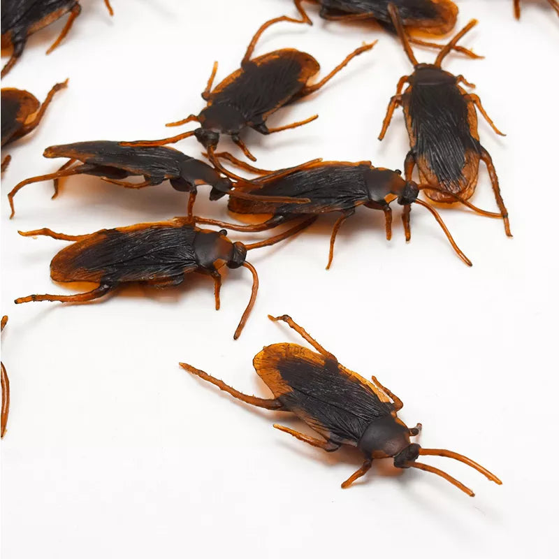 5PC Funny Toy Fake Cockroach Novelty Roaches Bugs Realistic Insects Toy Prank Simulation Tricky Disgusting Scary Spoof Toy