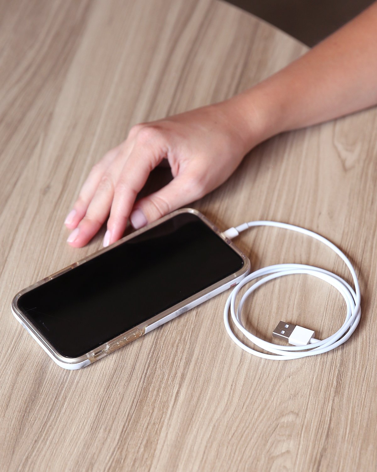 iPhone Charger Cable - 3 Feet