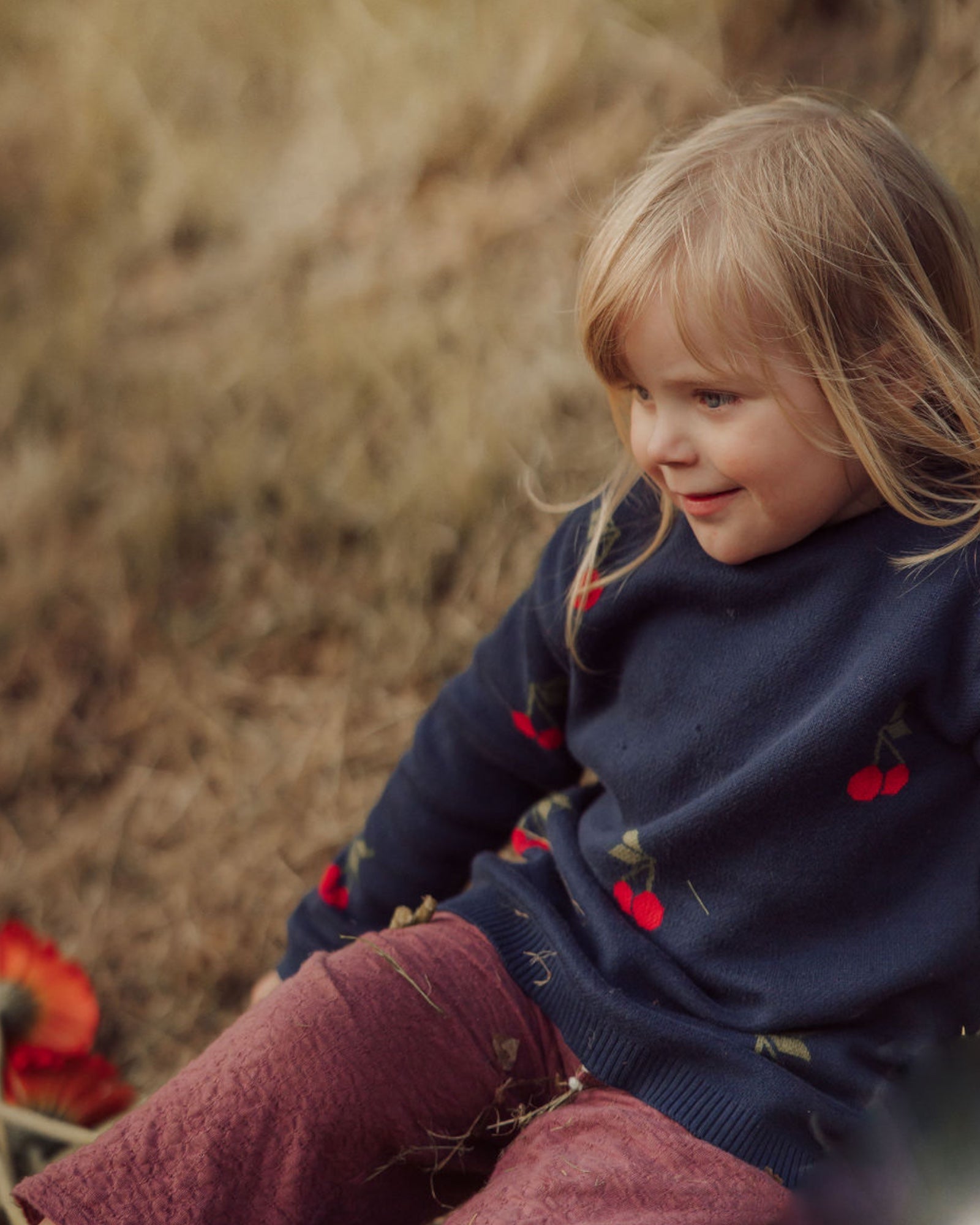 Cherry Delight Sweater